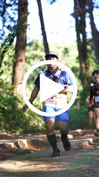 BIB:  <button type="button" onclick="openModal(26788054)" class="btn btn-primary btn-sm float-right" data-toggle="modal" data-target=".modal-high-quality">
                <i class="fa fa-download"></i> Download
                </button>